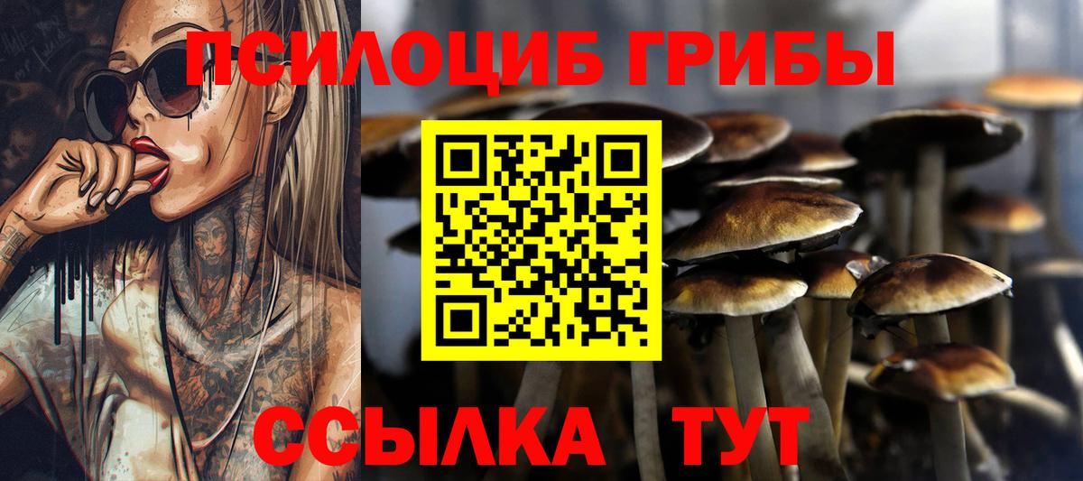 Экстази  Вход с VPN  Мефедрон кристаллы  А ПВП СОЛЬ   Кольчугино  ГАШ  Кокаин  Канабис 