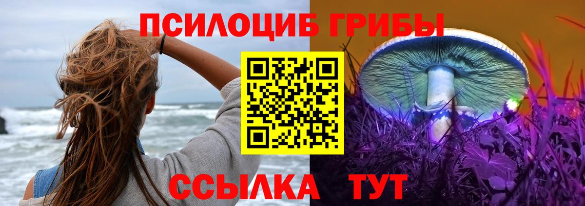 Галлюциногенные грибы GOLDEN TEACHER Кольчугино